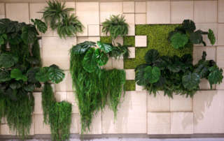 Plantas en un pasillo como representación del diseño biofílico